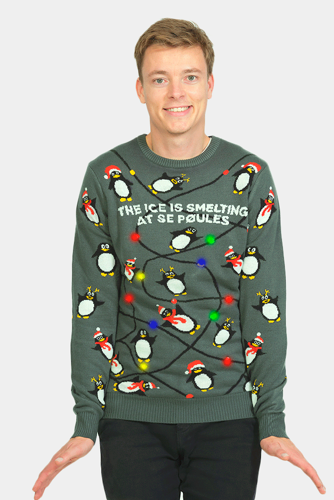 Pull de Noël pour Famille Lumineux LED Gris avec Pingouins homme