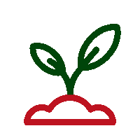 Durabilité Pulls de Noël