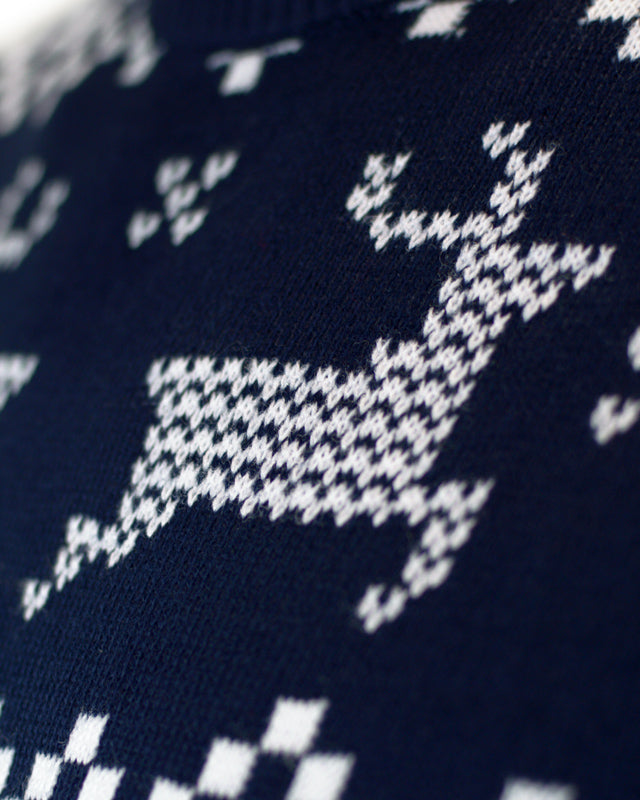 Pull de Noël Bleu Pôle Nord renne