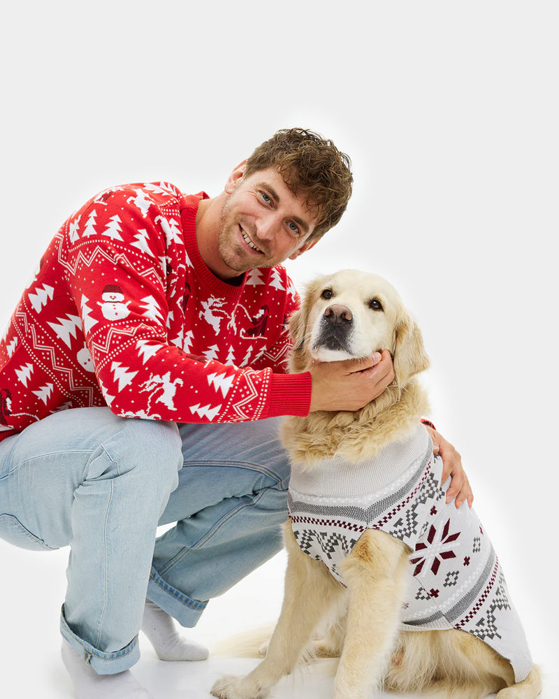 Pull de Noël pour Chien Gris avec Étoiles Polaires Homme