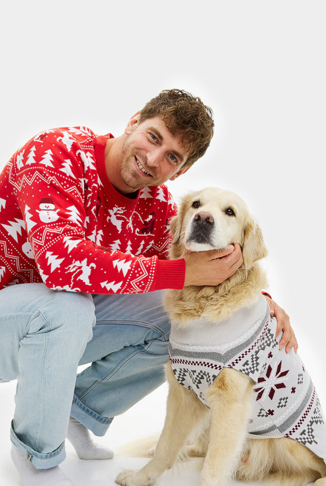 Pull de Noël pour Chien Gris avec Étoiles Polaires Homme