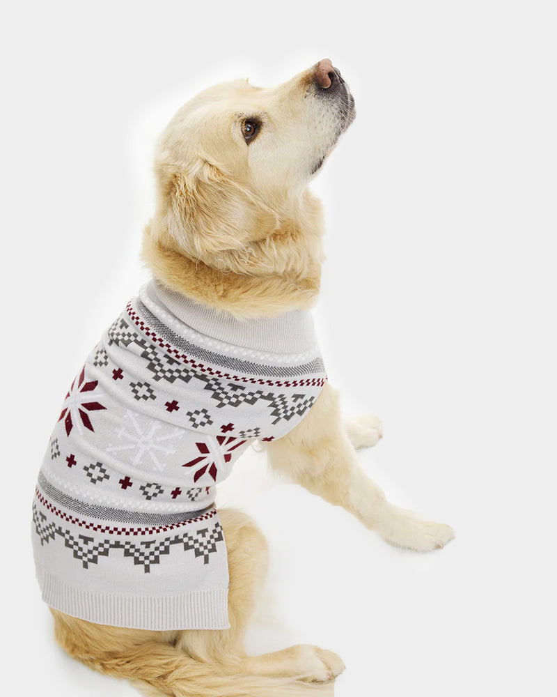 Pull de Noël pour Chien Gris avec Étoiles Polaires