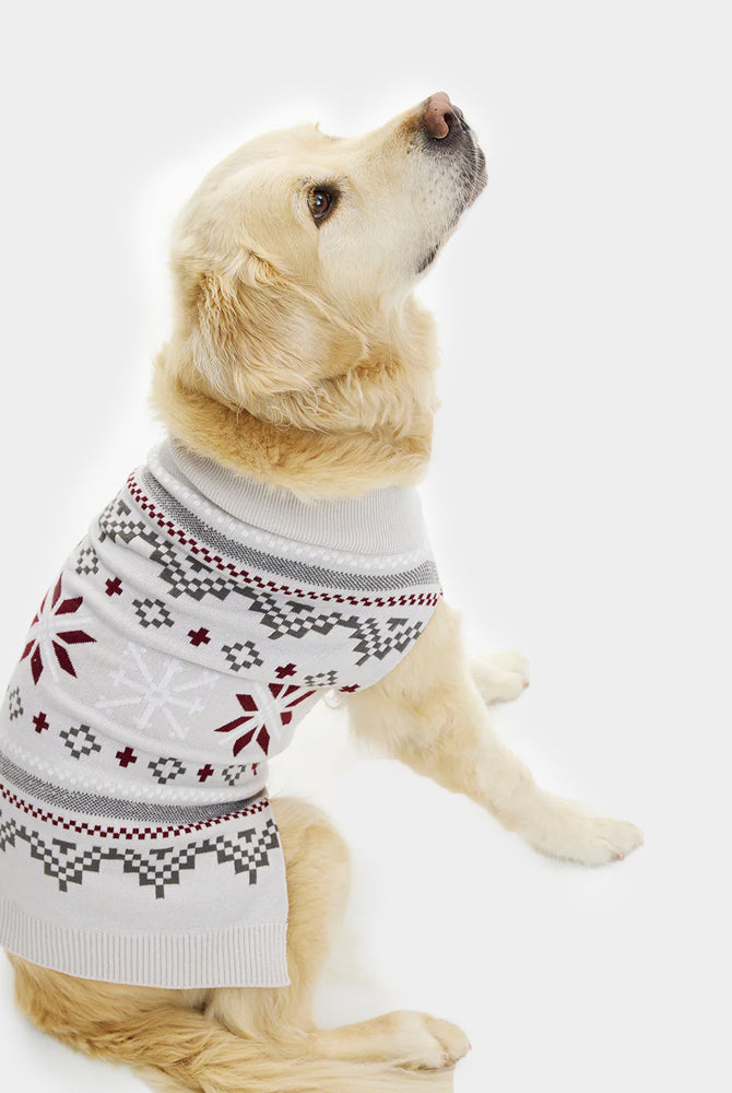 Pull de Noël pour Chien Gris avec Étoiles Polaires