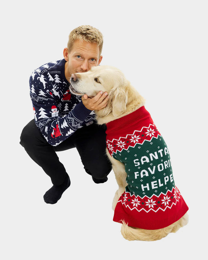 Pull de Noël pour Chien Petit Assistant du Père Noël