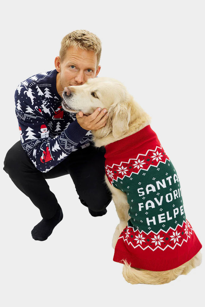 Pull de Noël pour Chien Petit Assistant du Père Noël