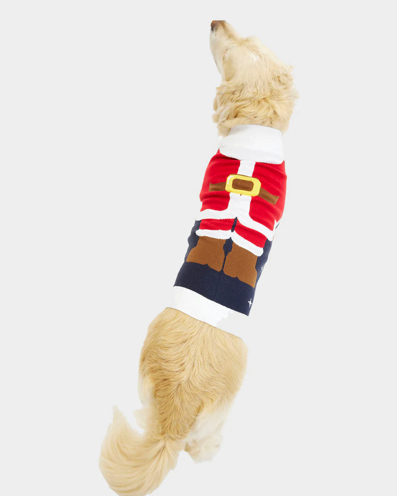Pull de Noël Chien Costume du Père Noël