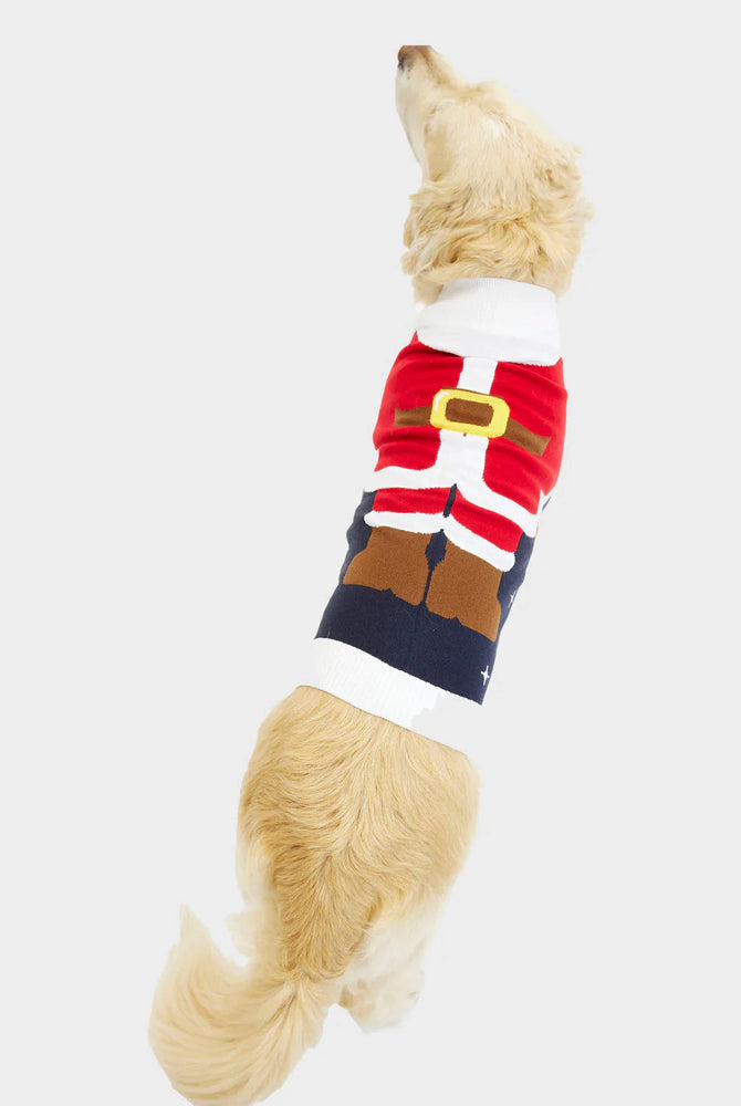 Pull de Noël Chien Costume du Père Noël