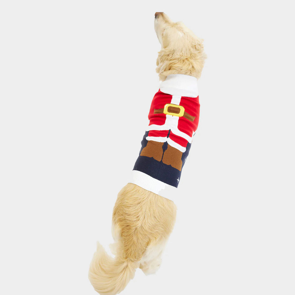 Pull de Noël Chien Costume du Père Noël