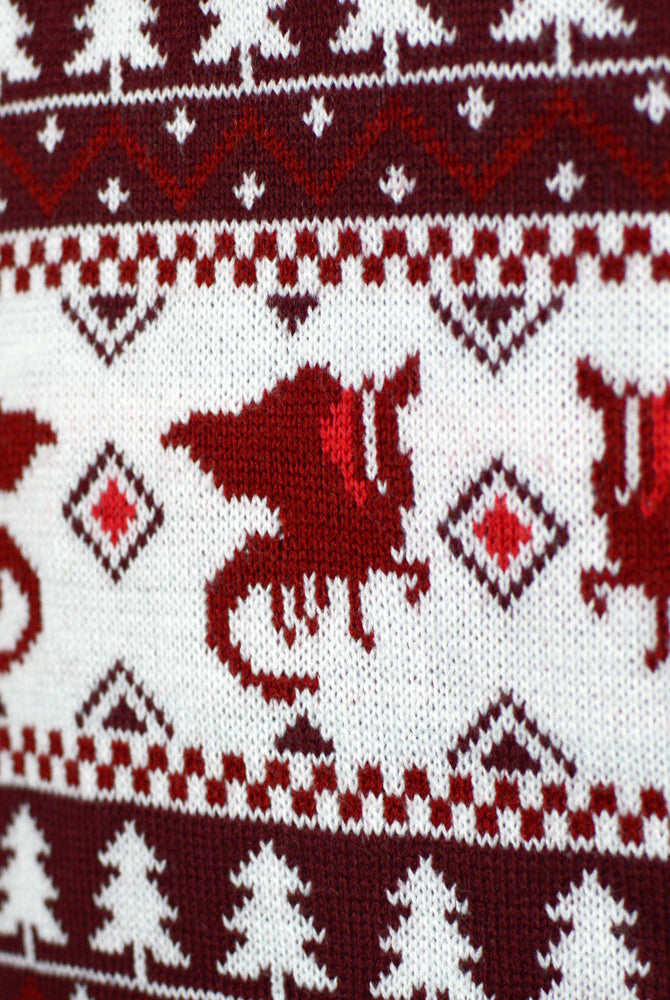 Pull de Noël pour Couple Christmas is Coming Dragon
