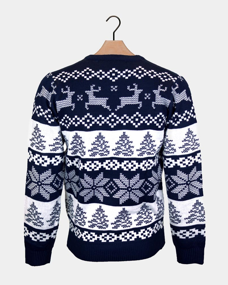 Pull de Noël pour Famille Bleu Pôle Nord dos