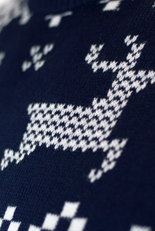 Pull de Noël pour Famille Bleu Pôle Nord renne