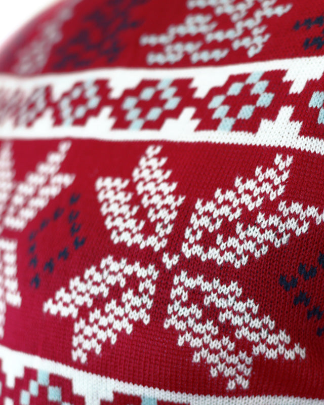 Pull de Noël pour Famille Rouge Classique Étoiles Polaires Détail