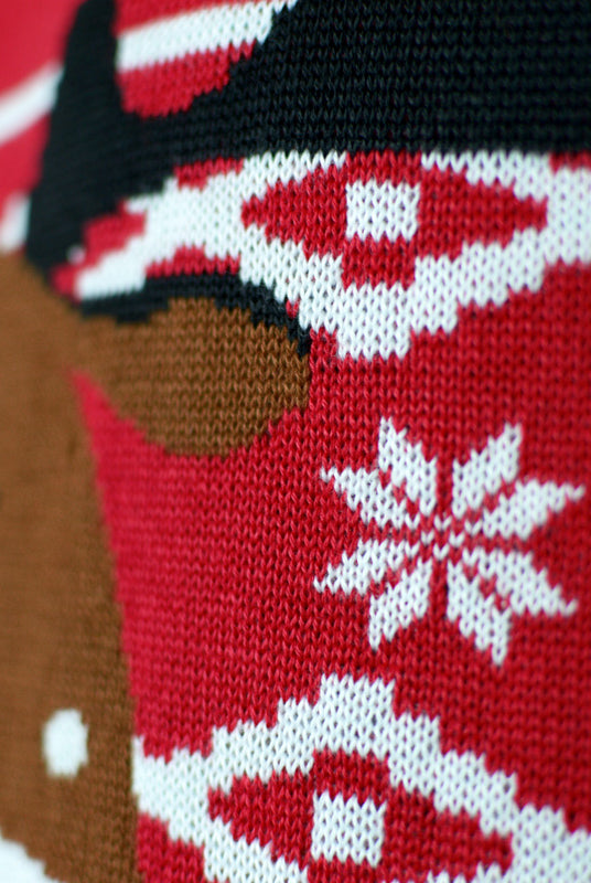 ull de Noël pour Famille Rouge Renne Rudolph Echarpe détail 2