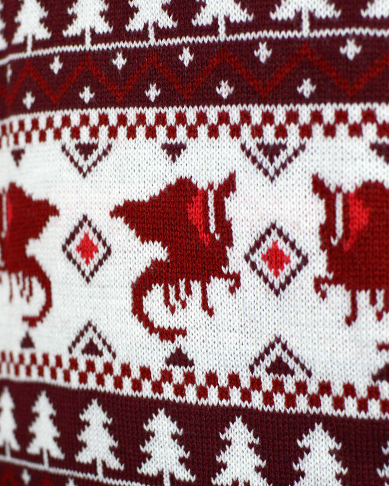 Pull de Noël pour Homme Christmas is Coming Dragon