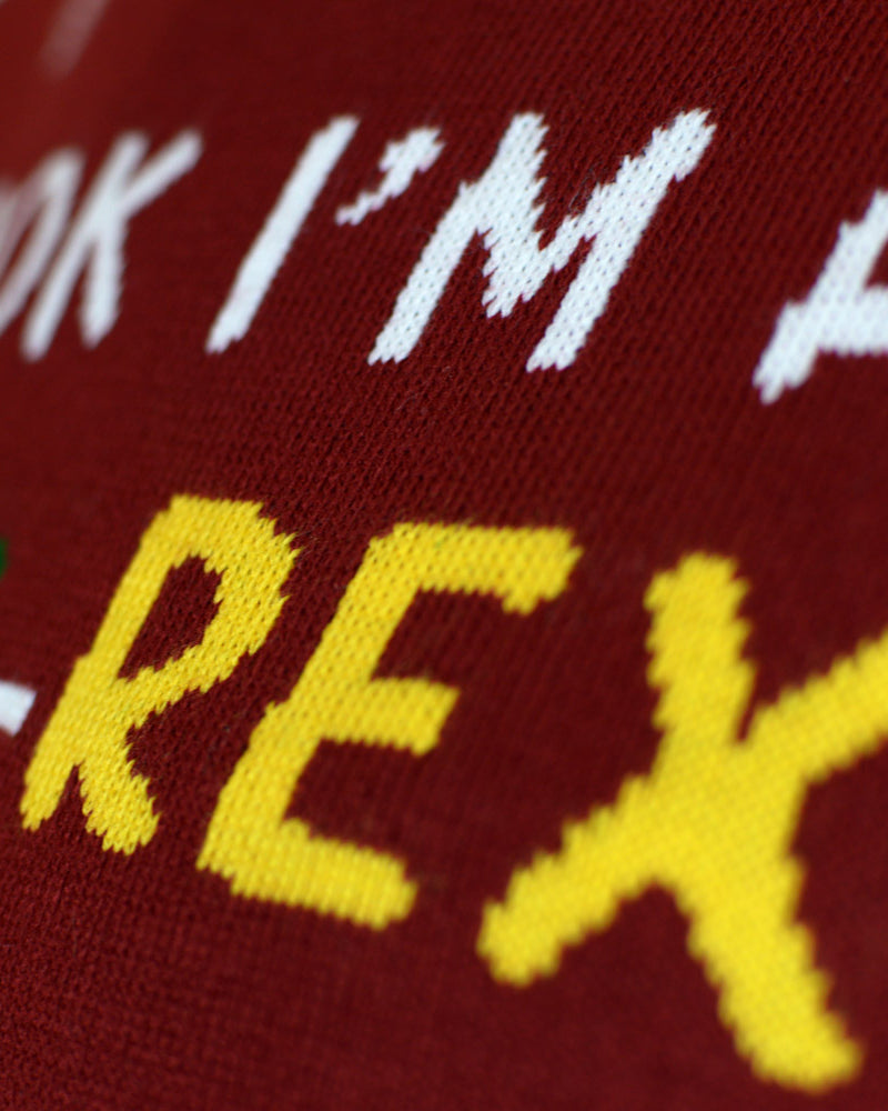 Pull de Noël pour Homme Lumineux LED Christmas Tree-Rex detail