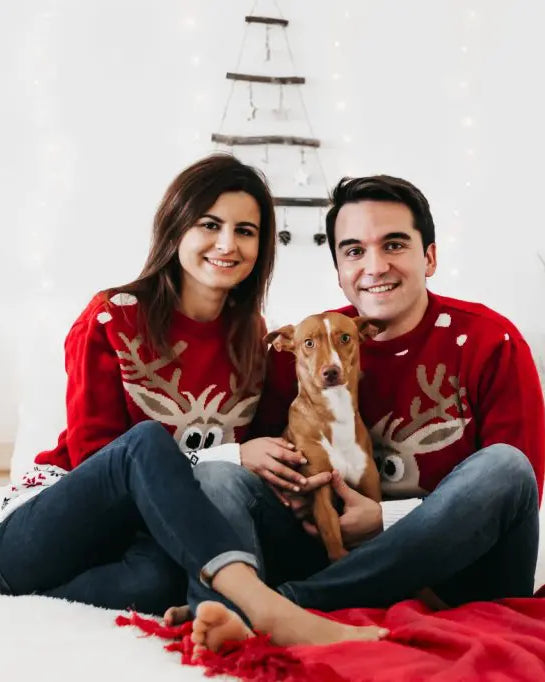 pulls de noel couple rouge chien