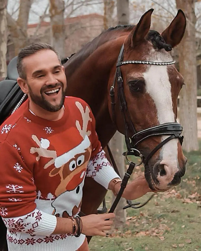 pulls de noel homme rouge cheval