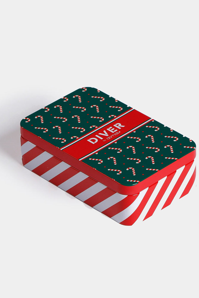 Boxer de Noël Boîte Cadeau de Noël