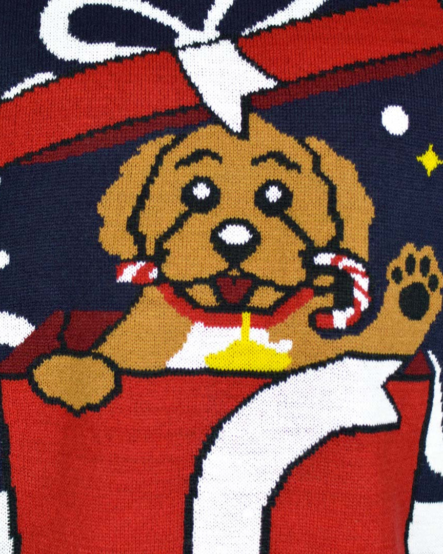 Pull de Noël pour Famille Feliz Navidog Detail