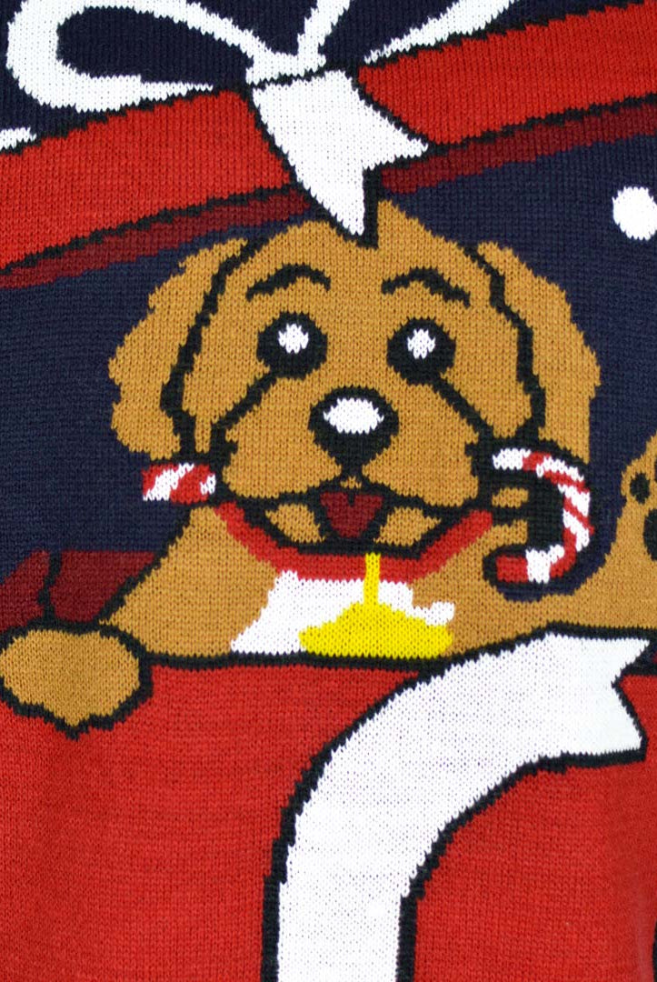 Pull de Noël pour Famille Feliz Navidog Detail