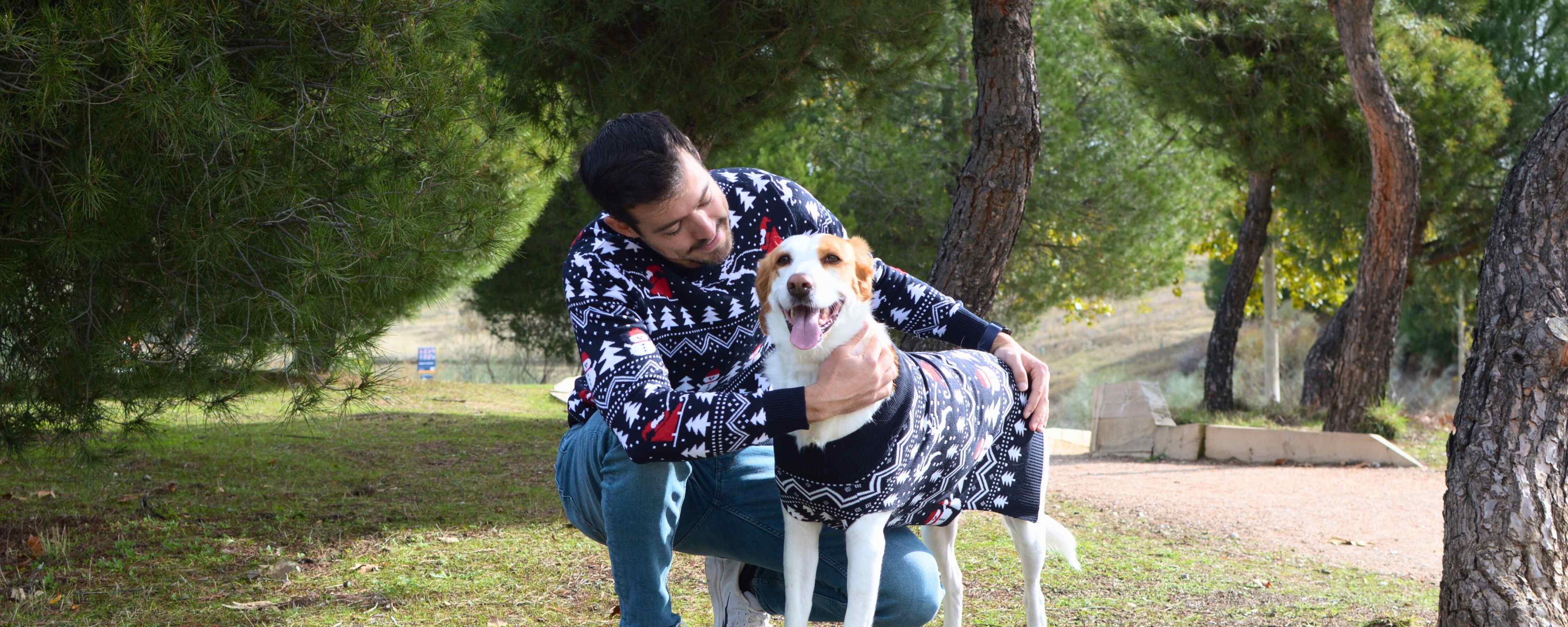 Pull Noël Chien