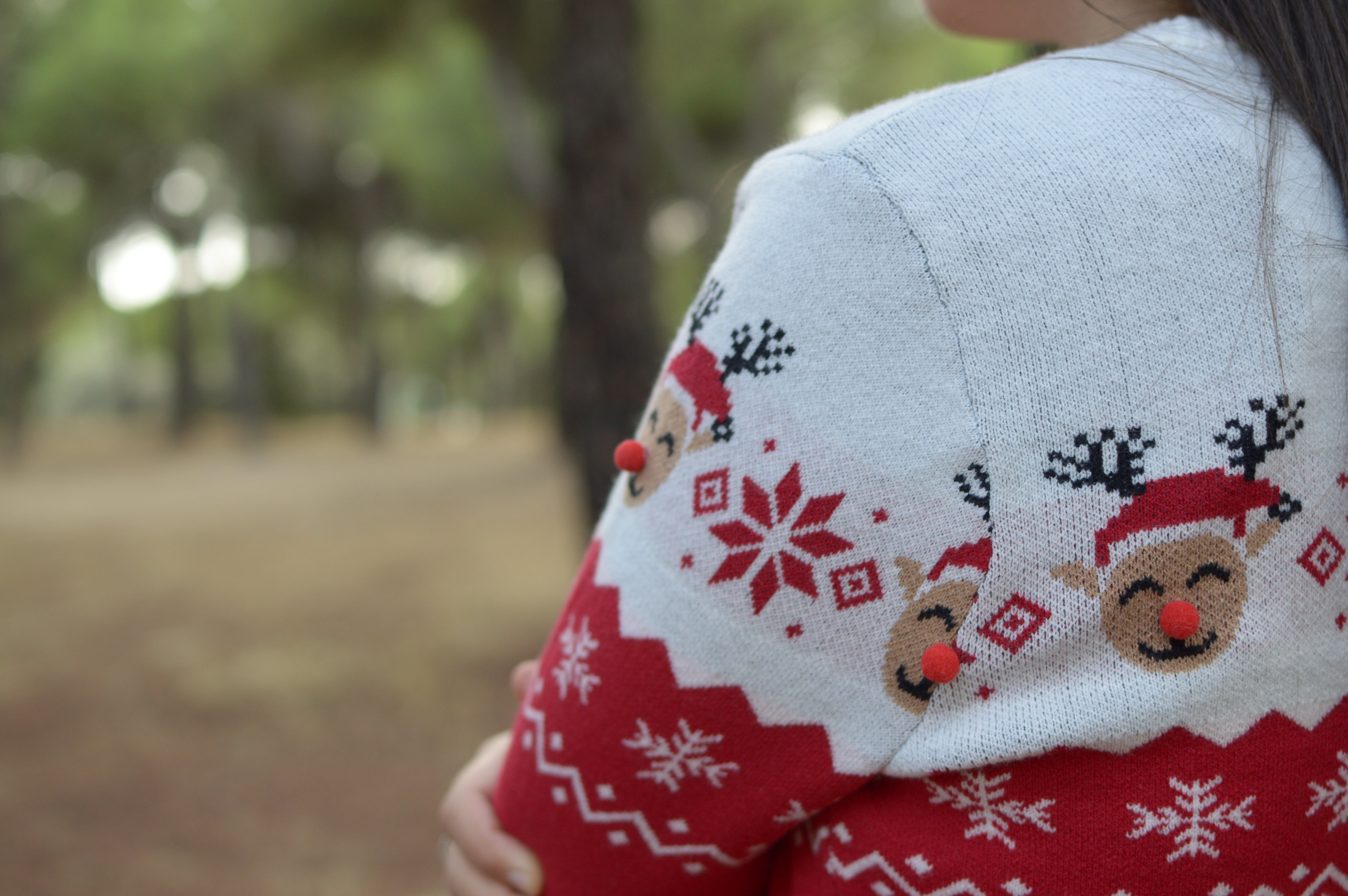 Pulls de Noel - REDUCTION