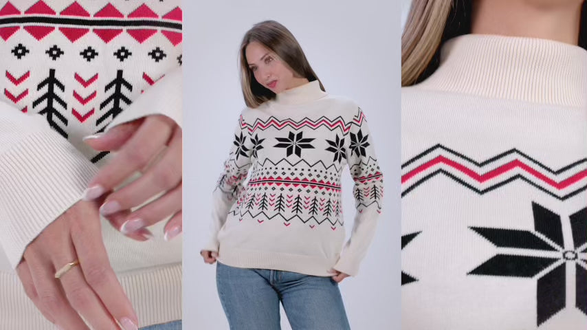 Renne Bleu et Pulls de Noël
