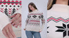 Renne Bleu et Pulls de Noël