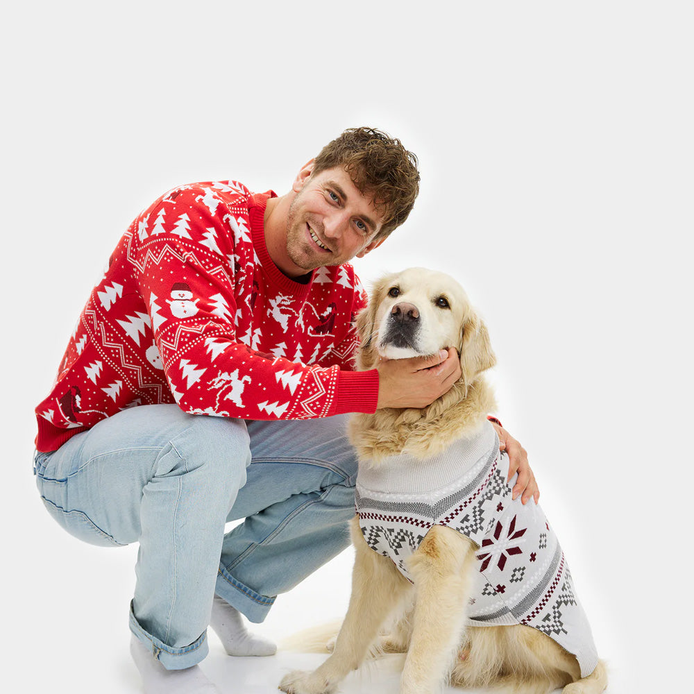 Pull de Noël pour Chien Gris avec Étoiles Polaires Homme
