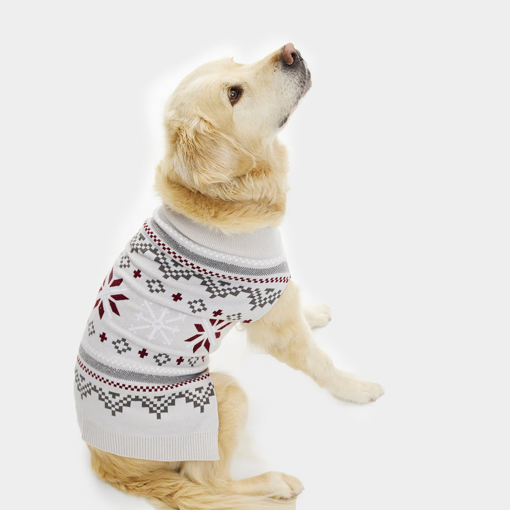 Pull de Noël pour Chien Gris avec Étoiles Polaires
