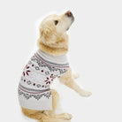 Pull de Noël pour Chien Gris avec Étoiles Polaires
