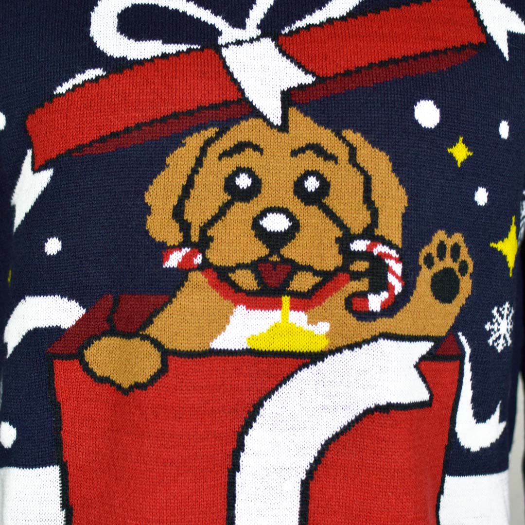 Pull de Noël pour Homme Feliz Navidog detail