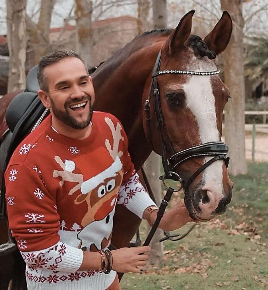 pulls de noel homme rouge cheval